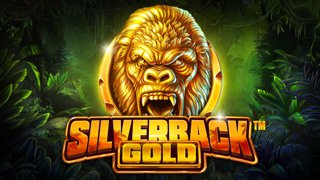 Silverback Gold DNT