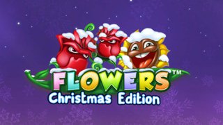 Flowers Christmas Edition DNT